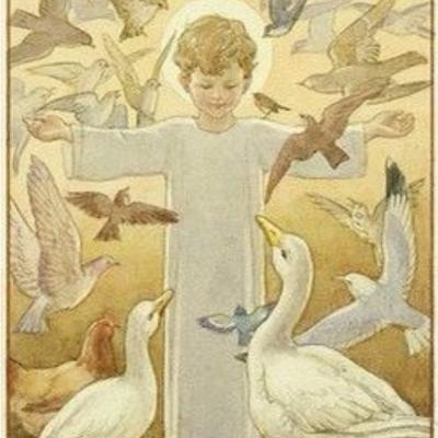 Divine Child Jesus 00044