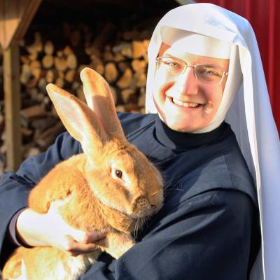 Sacj Animals 01a 1280a