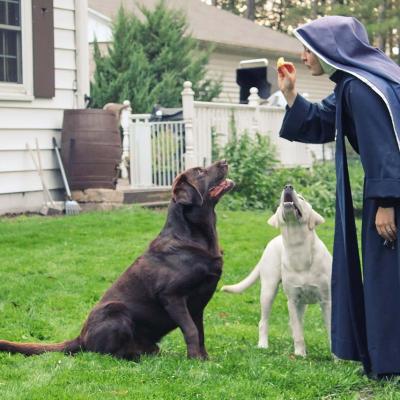 Sacj Animals 02a 1280a