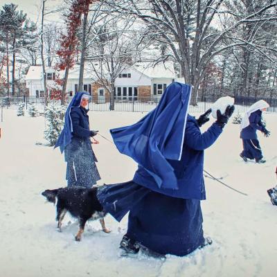 Sacj Animals 04 1280a