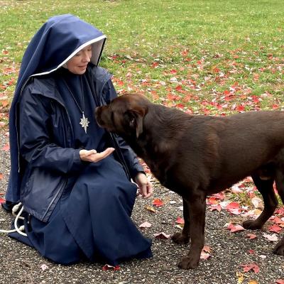 Sacj Animals 10 1280